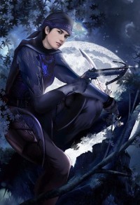 男主角楚风女主林诗雅